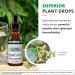 NutraMedix Quina 1 oz (30 ml) - Natural Herbal Supplement for Health Support - Buy Online on GoSupps.com