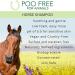 99% Natural MUDDY HORSE SHAMPOO - with ALOE VERA NEEM & TEA TREE - 250ml - by POO FREE - No Sulfates No Parabens No Silicone. Concentrated Cleans Soothes Moisturizes Relieves. - Buy Online on GoSupps.com