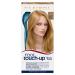 Clairol Root Touch-Up Permanent Hair Dye 8 Medium Blonde 8 Medium Blonde 1 count (Pack of 1) Single