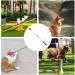Poteau de flirt pour chiens jouet interactif de b ton de flirt pour animaux de compagnie bauette extensible quipement de flirt multifonctionnel pour animaux de compagnie fournitures pour animau - Buy Online on GoSupps.com