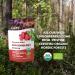 Poudre d airelles rouges sauvages biologiques LOOV 113 g 100% baies enti res lyophilis es sans sucre ajout r colt es l tat sauvage dans les for ts d Europe du Nord - Buy Online on GoSupps.com