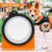 Border Collie Portable Drinking Bowl - Foldable Carabiner-Attached Food & Pet Bowl for Travel - Buy Online on GoSupps.com
