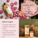 Cocoon Rose Micellar Water | Organic Hydrating Makeup Remover for Dry & Normal Skin | 4.73 fl oz - Shop Now - Buy Online on GoSupps.com