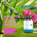 Dr. Brighten Saw Palmetto Plus - Women's Natural Dietary Supplement for Hair Loss, Acne, and Oily Skin - Buy Online on GoSupps.com