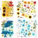 Dried Pressed Flower Leaves Set with Tweezers - 110 Assorted Natural Daisy Flowers for DIY Crafts & Decorations - Buy Online on GoSupps.com