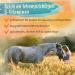 Ida Plus Pure Beer Yeast Powder - 3kg | 100% Natural Dog Cat & Horse Supplement | Rich in B Vitamins & Minerals for Shiny Fur & Healthy Skin - Buy Online on GoSupps.com