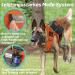 Rabbitgoo No Pull Dog Harness for Medium & Large Dogs | Tactical Military Vest with Molle & Metal Buckle - Adjustable & Breathable - L Orange (1 Pack) - Buy Online on GoSupps.com