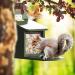 Paul's M hle Gourmet Squirrel Food 1 kg - Premium Nutritious Blend for Healthy Squirrels | Buy Internationally - Buy Online on GoSupps.com