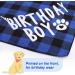 Kinbom Blue Checkered Dog Birthday Bandana - Pet Scarf for Small Medium & Large Dogs Perfect Birthday Party Accessory - Buy Online on GoSupps.com