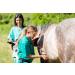 Equine Synergy Cush-Ease + High Potency Nutrition Supplement for Cushings Horses - Now with Milk Thistle for Laminitis Relief - Buy Online on GoSupps.com