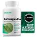 Vitasave Organic Ashwagandha Supplement 120 Vegetarian Capsules - 1300mg per Serving - Non-GMO Gluten-Free & Dairy-Free - Natural Sleep Aid - Memory Enhancer - Reduces Stress