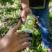 HUMBLE BRANDS Original Formula Aluminum-free Deodorant. Long Lasting Odor Control with Baking Soda and Essential Oils Bergamot and Ginger Pack of 3 Bergamot & Ginger 2.5 Ounce (Pack of 3) - Buy Online on GoSupps.com