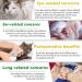 Natural Antibiotics for Cats Cat Antibiotics Pet Antibiotics Supports Cat Allergy Relief Cat Itch Relief Cat Allergy Support Kennel Cough Cat UTI Cat Multivitamin - Buy Online on GoSupps.com