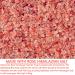 Olivia Care Exfoliating Bar Soap with Rose Himalayan Salt - Natural & Organic - Infused with Oatmeal & Rose Geranium Oil - Hydrating & Detoxifying - 3 Pack, 5 oz each - Buy Online on GoSupps.com