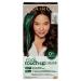 Clairol Root Touch-Up by Natural Instincts Permanent Hair Dye  4 Dark Brown Hair Color  Pack of 1 4 Dark Brown 2.72 Ounce (Pack of 1)