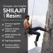 Organic Himalayan Shilajit Resin with Fulvic Acid Humic Acid 85+ Minerals- Gold Grade Plus - 100g 1000 mg Per Serving - Energy Stamina Brain Support - Made in The USA - Buy Online on GoSupps.com
