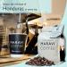 Maravi Speciality Coffee - Playa Honduras Arabica Coffee - Percolator Grind Coffee - Medium Roast - Citrus & Hazelnut Notes - 400g Percolator Grind 400 g (Pack of 1) - Buy Online on GoSupps.com