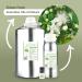 Lemon Myrtle Essential Oil - Pure Therapeutic Grade - Invigorating Citrus Aroma - 5ml - International Shipping Available - Buy Online on GoSupps.com