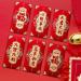 JAYIOLA 6pcs Chinese Lunar New Year Red Envelopes Rectangular Red Package Personalized Red Bag Dragon Year Hong Bao for Graduation Style G - Buy Online on GoSupps.com