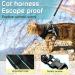 AOKCATS Escape Proof Cat Harness and Leash Set - Reflective Strips, Adjustable Comfort - Small Cat, Kitten - Black, Medium - Buy Online on GoSupps.com