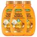 Garnier True treasures nourishing oil shampoo argan- & camelia-oil maintains intensely illuminate shine and smoothness 3 x 250 ml 250 ml (3-pack)