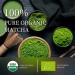 Organic Ceremonial Grade Matcha Green Tea Powder - 20 Single Serve Packets | Premium First Harvest | Gluten-Free, Vegan, USDA Organic | 40g/1.41oz - 1 Count (Pack of 20) - Buy Online on GoSupps.com