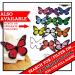 Cakeshop 12 x PRE-CUT Light Blue Edible Butterfly Cake Toppers - Buy Online on GoSupps.com