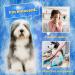 Pet Hair Remover Glove - Deshedding & Grooming Brush for Dogs & Cats - Five Finger Design Massage Mitt - Long & Short Fur - 1 Pack (Blue, Right-Hand) - Buy Online on GoSupps.com