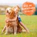 Ida Plus Probiotic Snack for Dogs - Intestinal Renovation & Digestive Support - 440g Prebiotic Formula for Healthy Gut Flora - Buy Online on GoSupps.com
