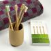 Bambumi Bamboo Toothbrushes Set - Eco-Friendly BPA Free Biodegradable & Sustainable Wooden Toothbrushes (Red/Green/Blue/Bamboo) - Buy Online on GoSupps.com