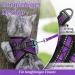Rabbitgoo Adjustable Cat Dishes Set with Leash - Reflective Stripes for Cats & Kittens - Soft & Durable - Purple - 1 Pack - Buy Online on GoSupps.com