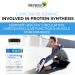 Renew Actives L-Arginine Supplement - Boost Strength & Performance - 120 Tablets for Protein Synthesis - International Shipping Available - Buy Online on GoSupps.com
