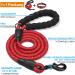 Haapaw Reflecting Dog Collar - Padded Neoprene Breathable Nylon for Small & Medium Dogs - Red (M 1-Pack) - Buy Online on GoSupps.com