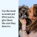 Wisdom Panel Essential Dog DNA Test Kit: Accurate Breed ID, Ancestry & Health | 25+ Conditions | Traits | Relatives - 1 Pack - Buy Online on GoSupps.com