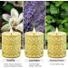 Fragrance Candle Gift Set for Women - 6 Large Soy Wax Candles 200 Hours Burn Time Perfect Valentine's Day Gift in Elegant White Glass - Buy Online on GoSupps.com