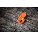 Duo Magnetic Fly Holder - Securely Holds Fishing Flies - Seville Orange - Buy Online on GoSupps.com