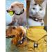 IP68 Waterproof AirTag Dog Collar Holder - Durable TPU Case for Cats & Dogs - Compatible with Apple AirTag - 2.5cm Inner Hole - Buy Online on GoSupps.com