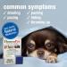 HomeoPet Travel Anxiety Relief for Dogs, Cats & Small Animals - 15ml - Buy Online on GoSupps.com