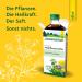 Schoenenberger St. John's Wort Natural Cleaning Juice 200ml - Relieve Mental Exhaustion - Free Shipping - Buy Online on GoSupps.com
