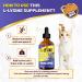 L Lysine for Cats & Kittens Helps with Watery Eyes Sneezing Cough Runny Nose Natural Cat Antibiotic Supplement with Taurine Vitamins for Eye Function & Immune Support Chicken Flavor 2 oz Herbal - Buy Online on GoSupps.com