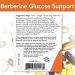 Now Foods Berberine Glucose Support - 90 Softgels for Blood Sugar Health - Buy Online on GoSupps.com