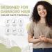Buy Black Rice Water Shampoo Bars - Natural Hair Growth & Shine | Set of 2 - Sulfate-Free with Argan Oil & Murumuru Butter - Buy Online on GoSupps.com
