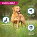 EUKANUBA Grain Free Dog Food Adult Small and Medium Breeds Rich in Fish 12kg - Buy Online on GoSupps.com