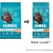 IAMS Proactive Health Indoor Cat Food - Weight & Hairball Care with Chicken & Salmon - Buy Online on GoSupps.com