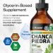 BIO KRAUTER Chanca Piedra Tincture - Natural Kidney Health Support Liquid - Chanca Piedra Stone Breaker & Gallbladder Cleanse Formula - Vegan Alcohol & Sugar Free Drops - 4 oz 4 Fl Oz (Pack of 1) - Buy Online on GoSupps.com