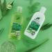 Organic Doctor Aloe Vera Shampoo - 9 fl oz | Natural Hair Care - Buy Online on GoSupps.com