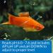 API pH Test & Adjuster Kit | 250-Test Freshwater Aquarium Water pH Tester (29A) - Buy Online on GoSupps.com