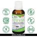 Stevia Concentrated Liquid 30ml. Concentrated calorie-free vegan sweetness - Made in Canada - Buy Online on GoSupps.com