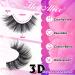 HeyAlice False Eyelashes - 10 Pairs of Wispy Mink Fluffy Cat Eye Lashes | 3D Natural Strip Lashes for a Glamorous Look - Buy Online on GoSupps.com
