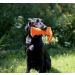 DogBone Firehose Training Dummy - Track, Retrieve & Train Your Dog - Large 3 x 11 - Orange - Buy Online on GoSupps.com